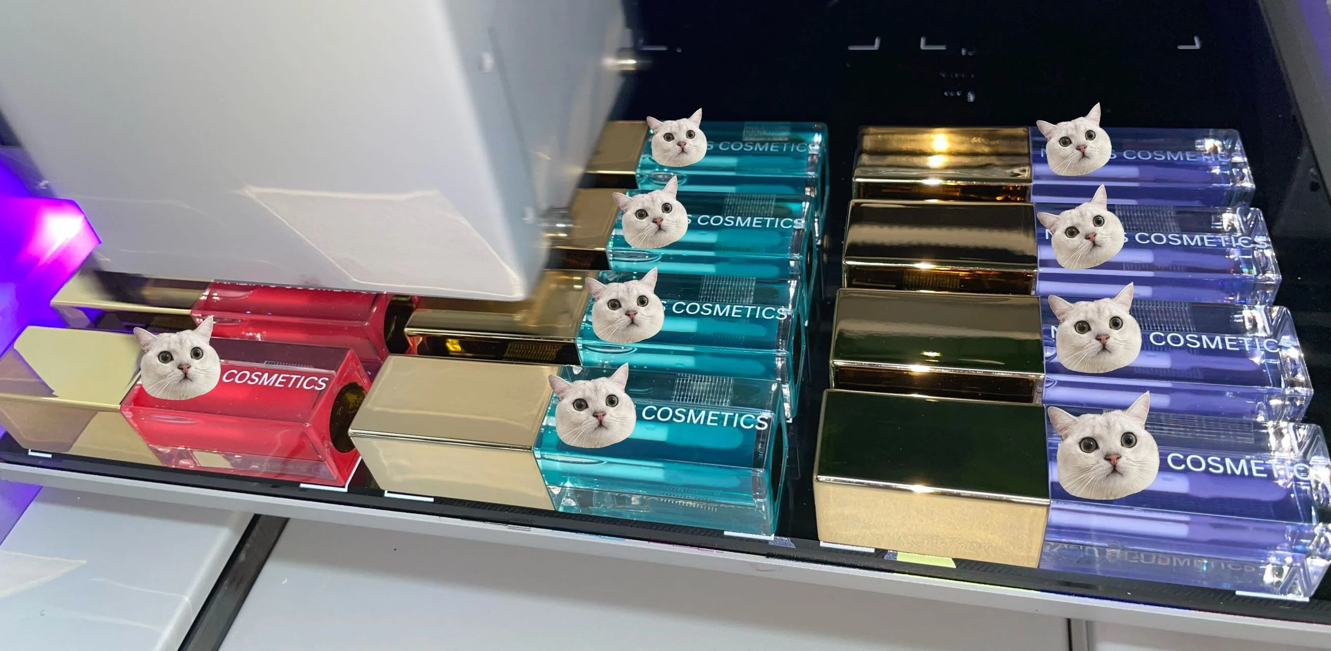 COEOVO Wholesale Custom Logo 8 Flavoring Comfort Vegan Fruit Lips Care Lip Grow Balm Oil Color Changing  Lip Oil