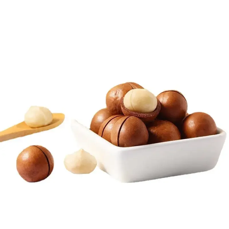 Raw Organic Bulk Nuts Macadamia Nuts Wholesales Roasted Macca Macadamia Nuts & Kernels