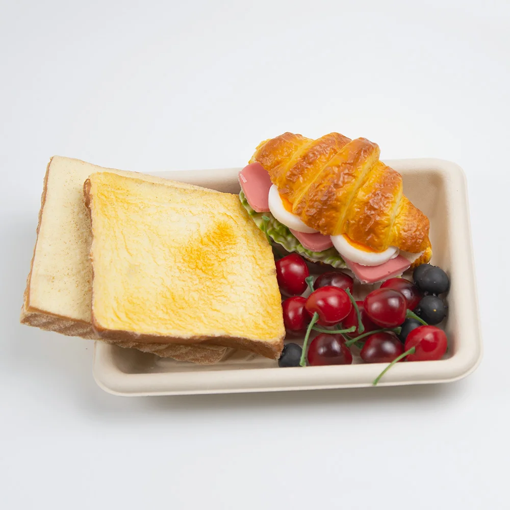 Disposable sugarcane pulp tray is degradable and can hold fish and vegetables