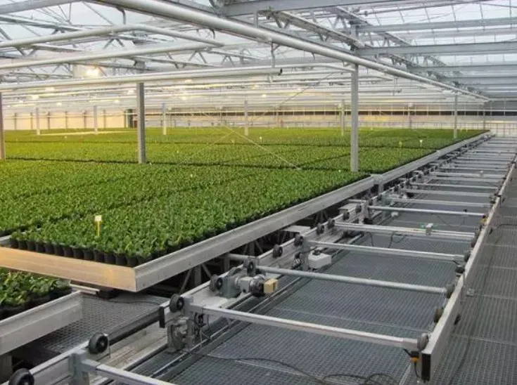 Hydroponics rolling benches for commercial greenhouse benches