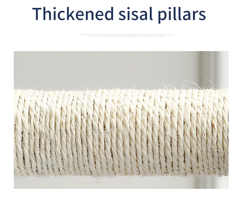 cat climbing tree wooden