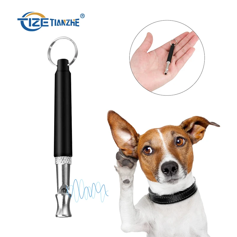  China Factory Wholesale Supplier dog