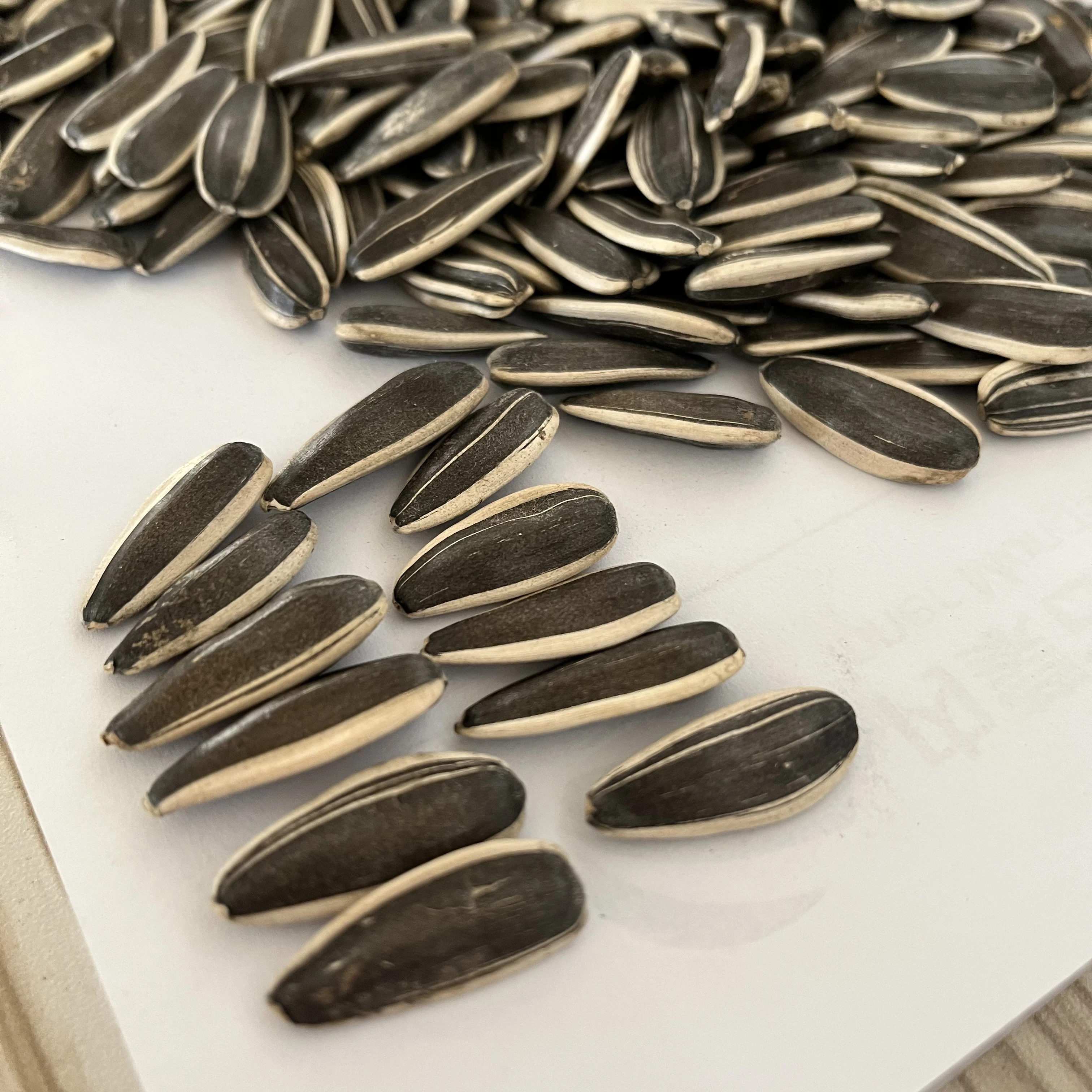 Семена необработанного подсолнечника, семена подсолнечника со скидкой