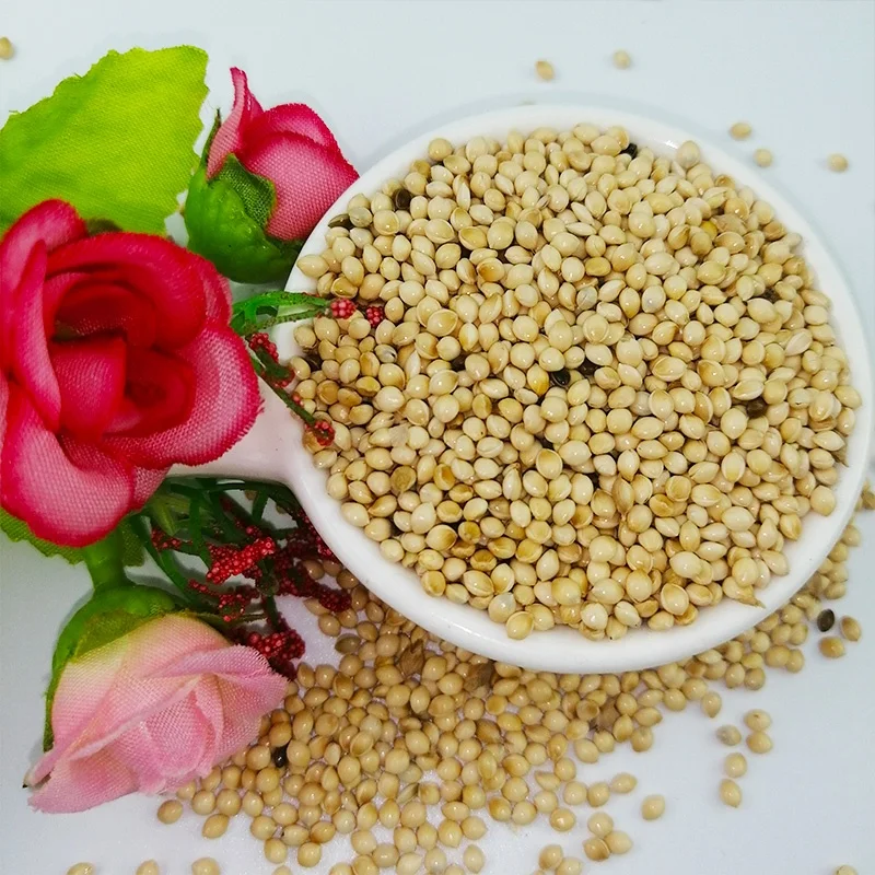 Good Quality Factory Wholesale Food Natural Birds Eat White Broom Corn Millet