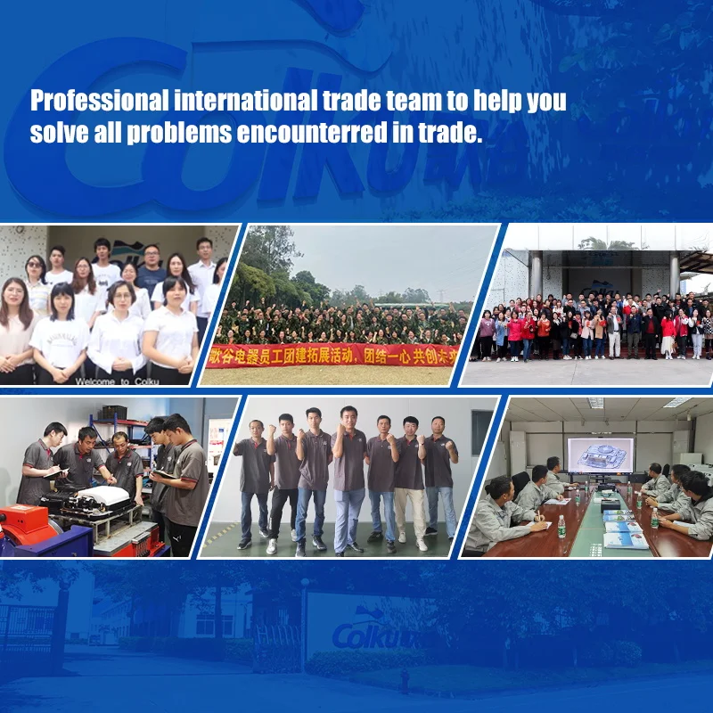 Factory Price Dc 12v 24v Car Portable Mini Fridge Freezer Refrigerator for Hiking Camping