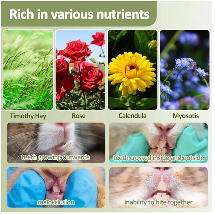 Bunny Chew Toys Timothy Hay Treats Bunny Treats Dwarf Hamster Treats Bunny Rabbit Chew Toys Teeth Hamster Chew Toys