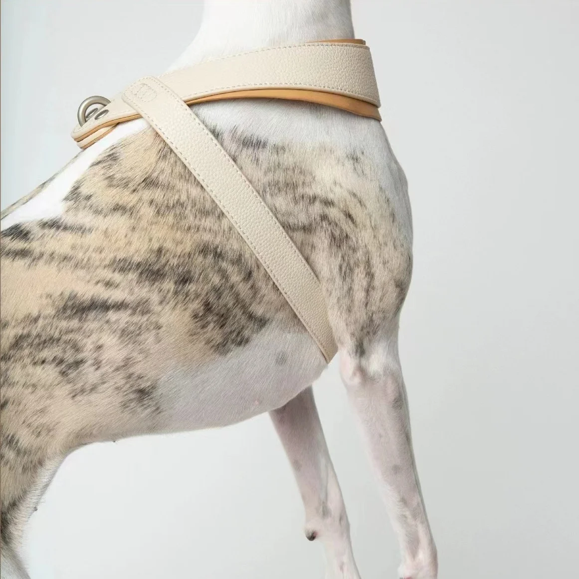 Luxury Dog Harness Dog Leash Adjustable, Easy On-Off Pet leash and Harness set, High quality Faux Leather and Metal Accessories