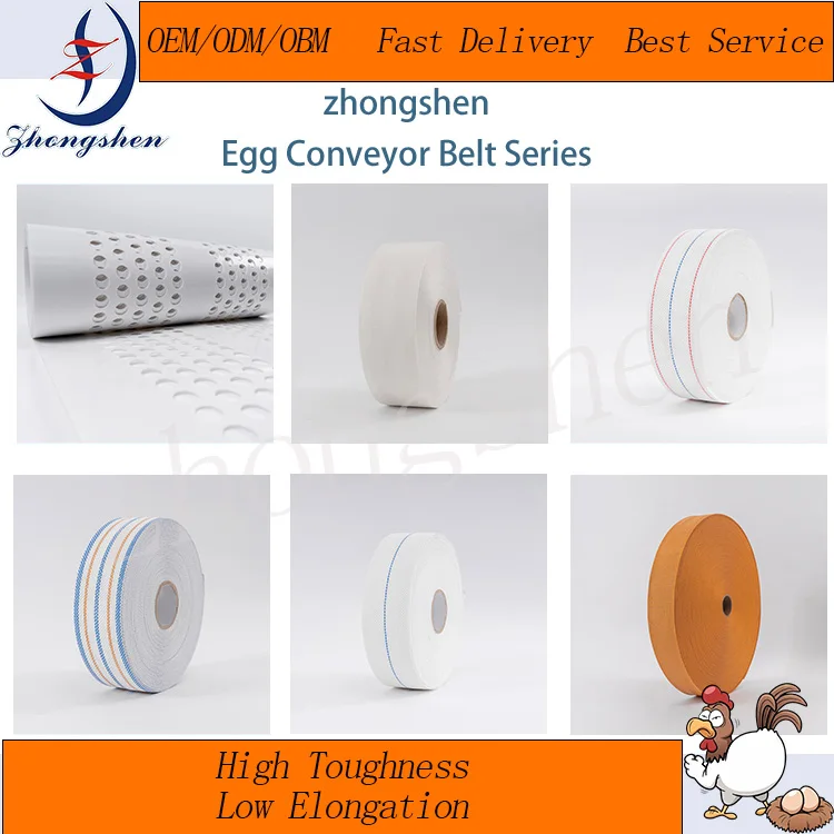 Source Manufacturer Width Customized Sercive Egg Collection Conveyor Belt for poultry farm