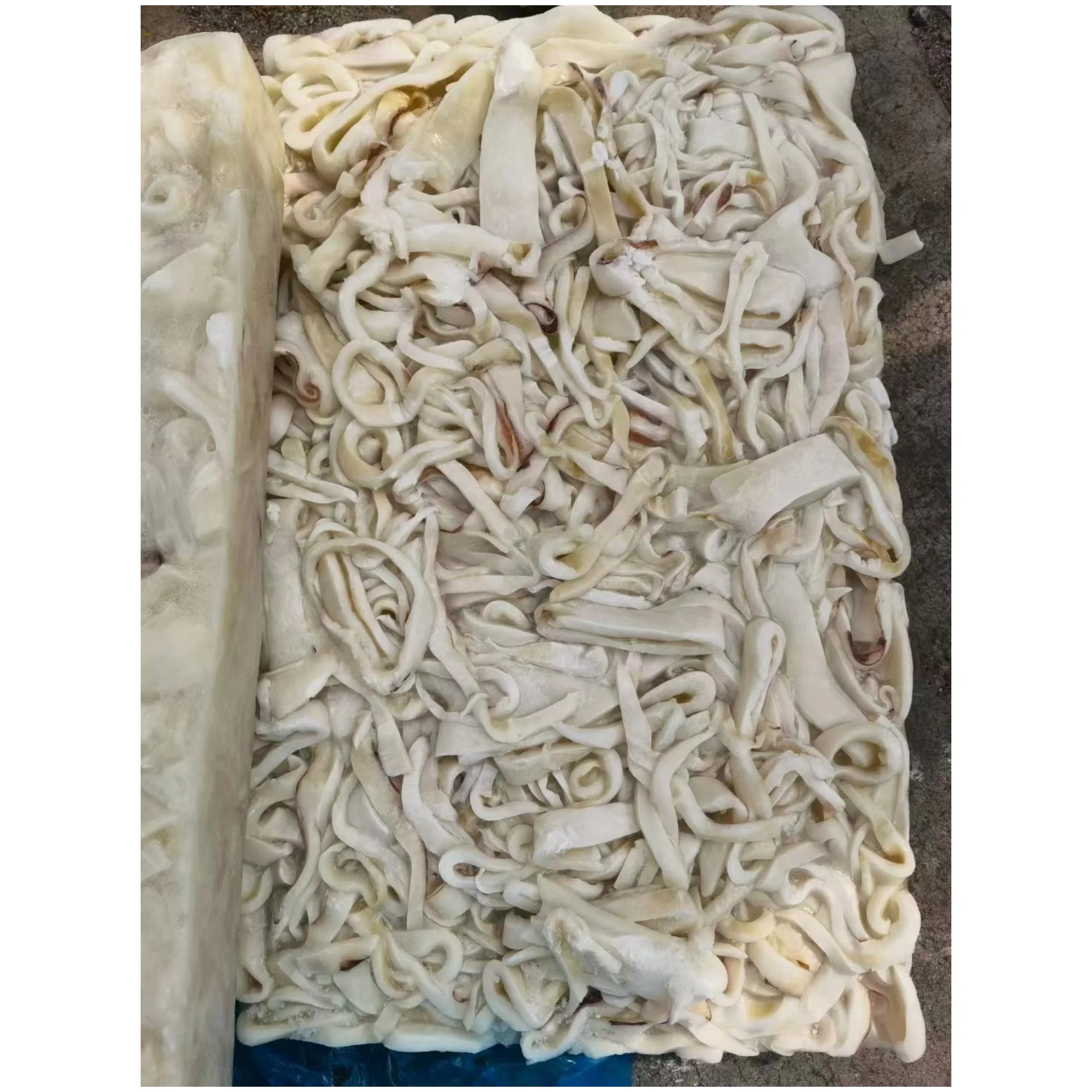 Frozen Squid Minced Meat For Factory Processing