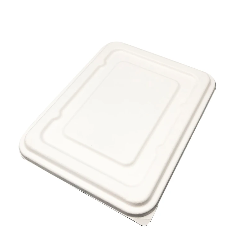 Chinese fast food bagasse box eco friendly promotional biodegradable disposable bagasse lunch box packaging