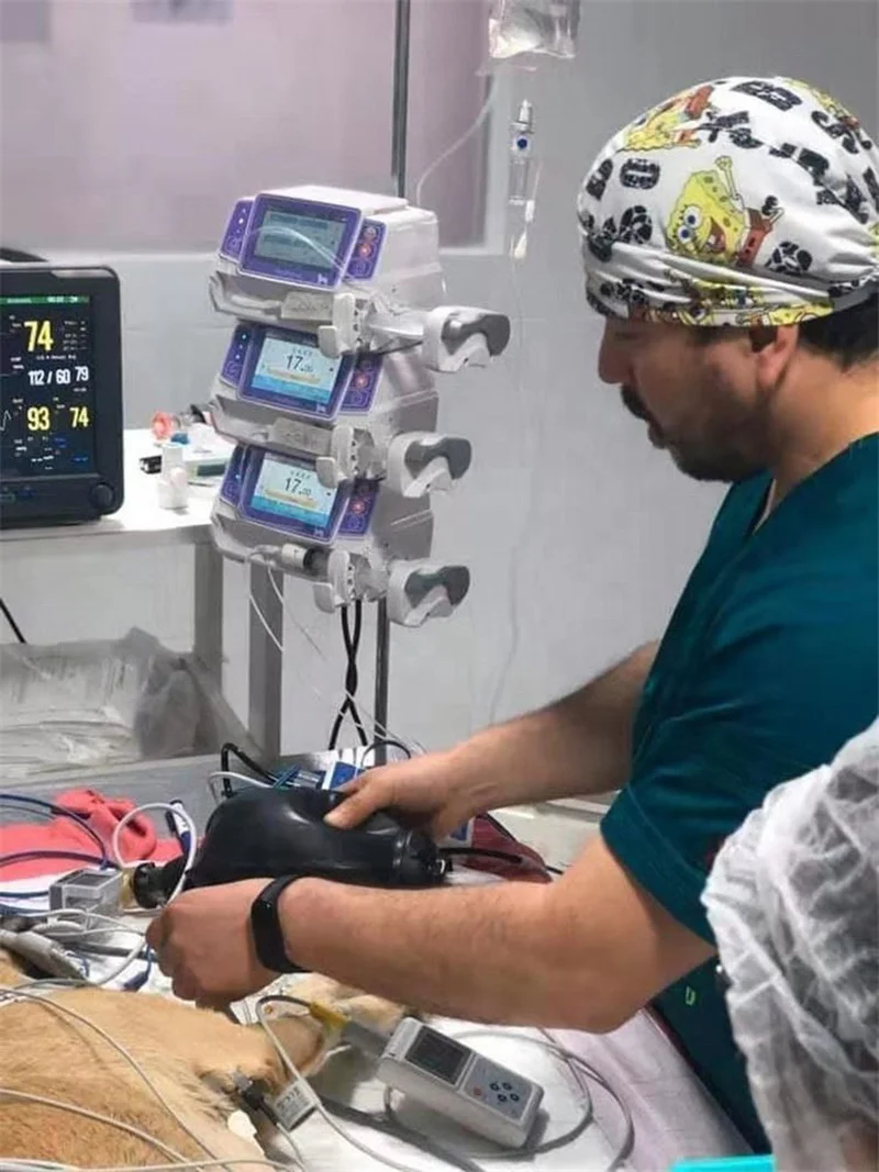 High Grade Animal Infusion Pump Veterinary Infus Set Bomba Infusion Portable IV Pump Syringe Two Channels Drip Bump