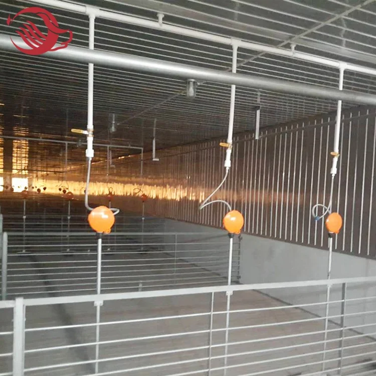 Piggery Cage / Organic Pig Farming / Breeding Crate For Pigs Wholesale