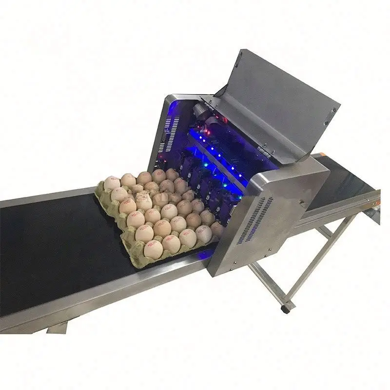 Automatic inkjet coding printer egg printing/coding/marking machine