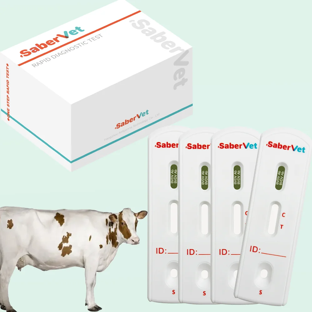 High Sensitive bovine blood bvdv antibody bovine rapid test kit Bovine Viral Diarrhea Virus Antibody Rapid Test for cattle