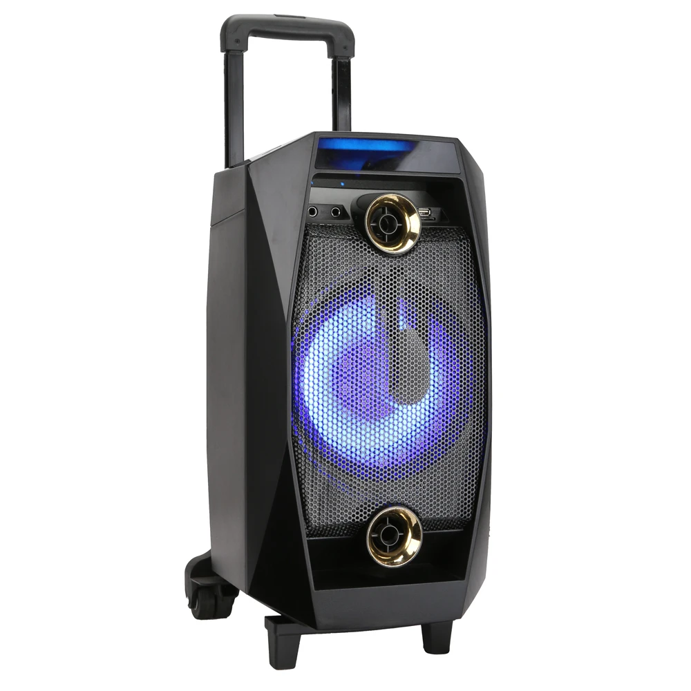 Wireless PA Active Trolley Portable Rechargeable Multi Function Party Speaker With Microphone