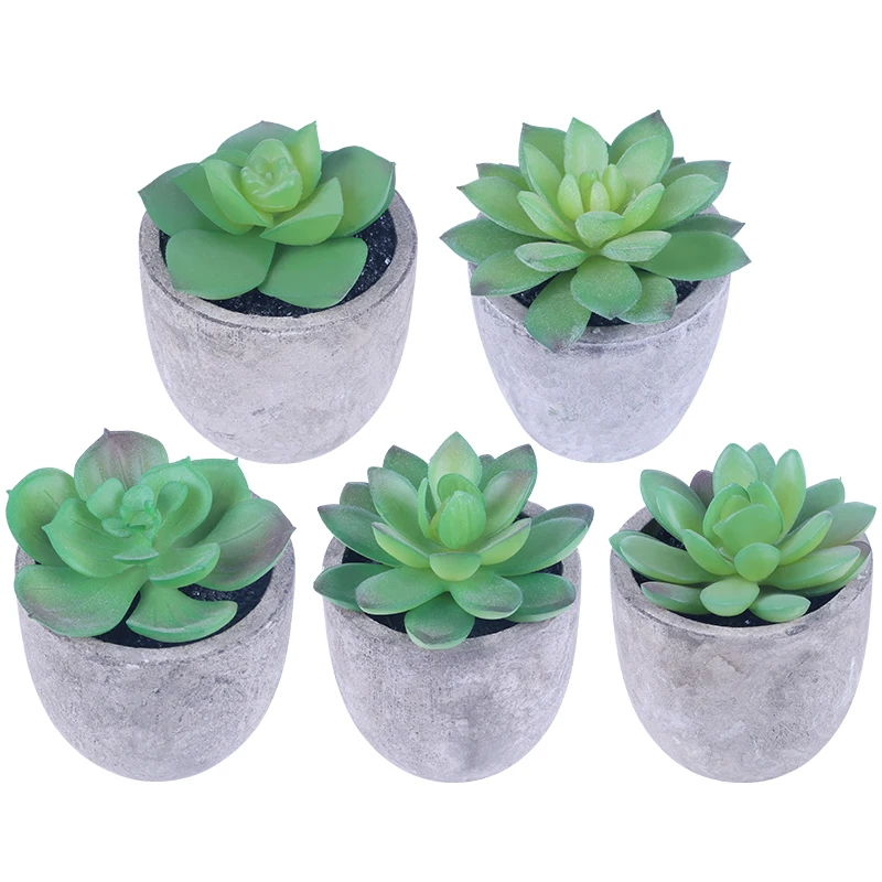
Set of 5 PCS Artificial Green Plants Succulent With Gray Pots home decoration  (1600102639300)