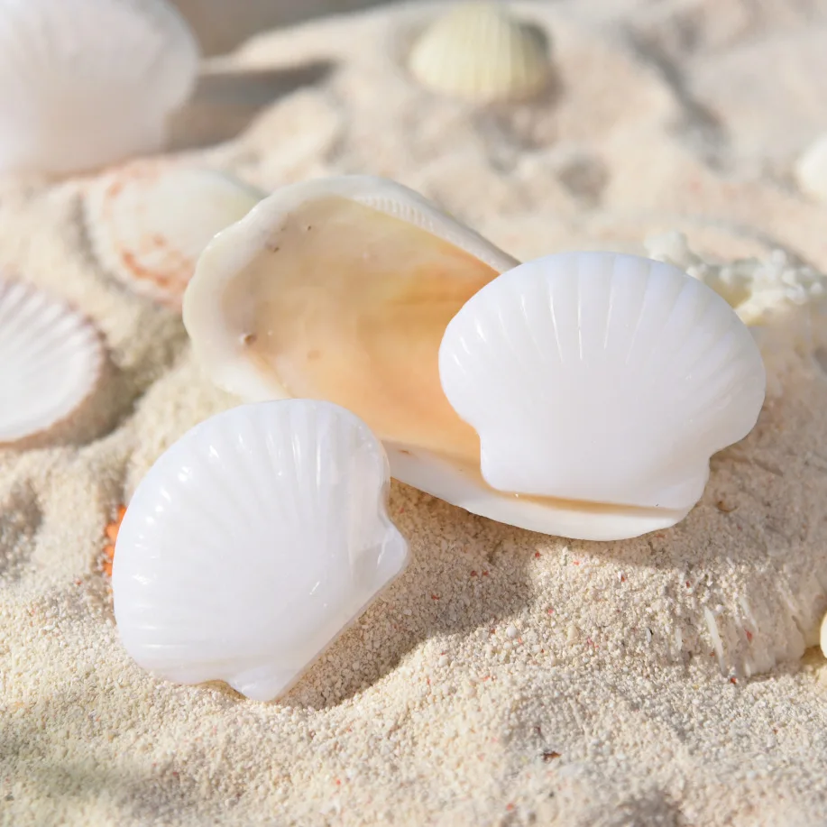 Customized Shell Shape Soap Handmade  100% Custom Bath Soap Hand Soap