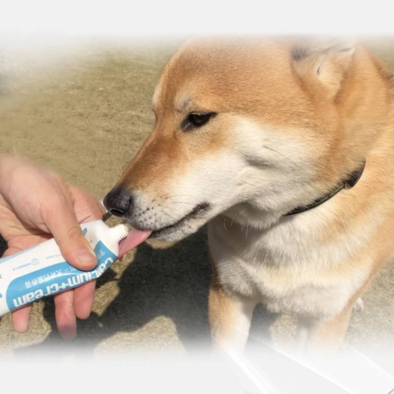 Dog calcium paste pet nutritional supplement vitamin for dog 120g OEM/ODM