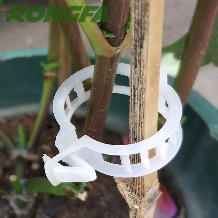 
White Vegetable Garden Tomato Trellis Clips, Plastic Plant Support Clip, Agriculture Clips 