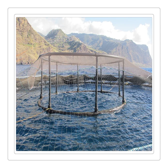 Supply Marine Offshore Aquaculture Crab Fishing Cage Eel Fyke Net for Sale