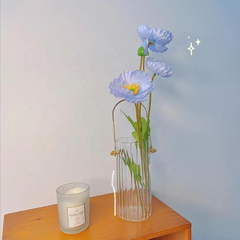 Recommend Suspensable Tall Cylinder Glass Vase For Home Decoration