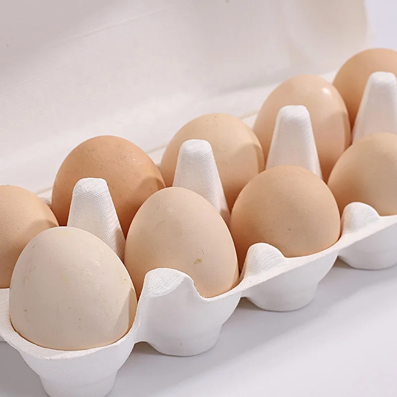 Factory Direct Wholesale Eco-Friendly Custom Disposable Biodegradable Compostable 10 12 Egg Box
