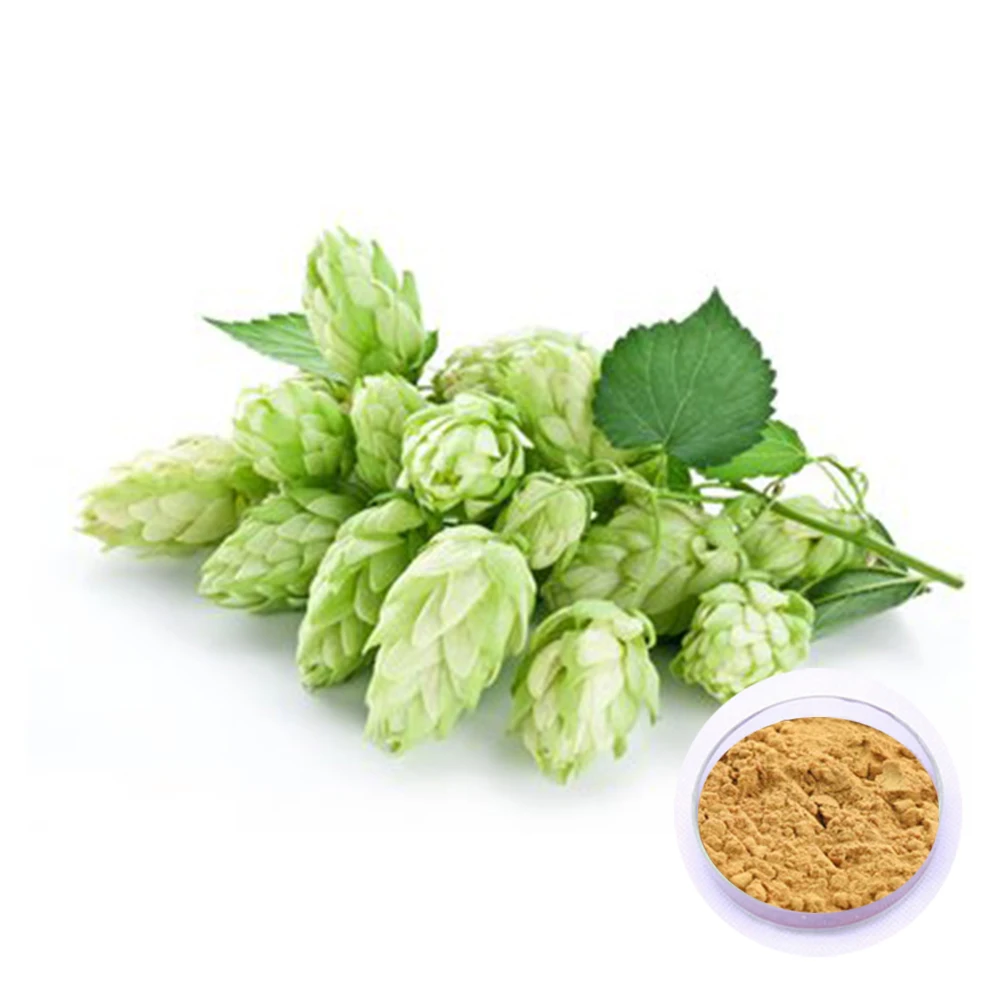 Factory Supply Food Grade Extract Hops Powder
