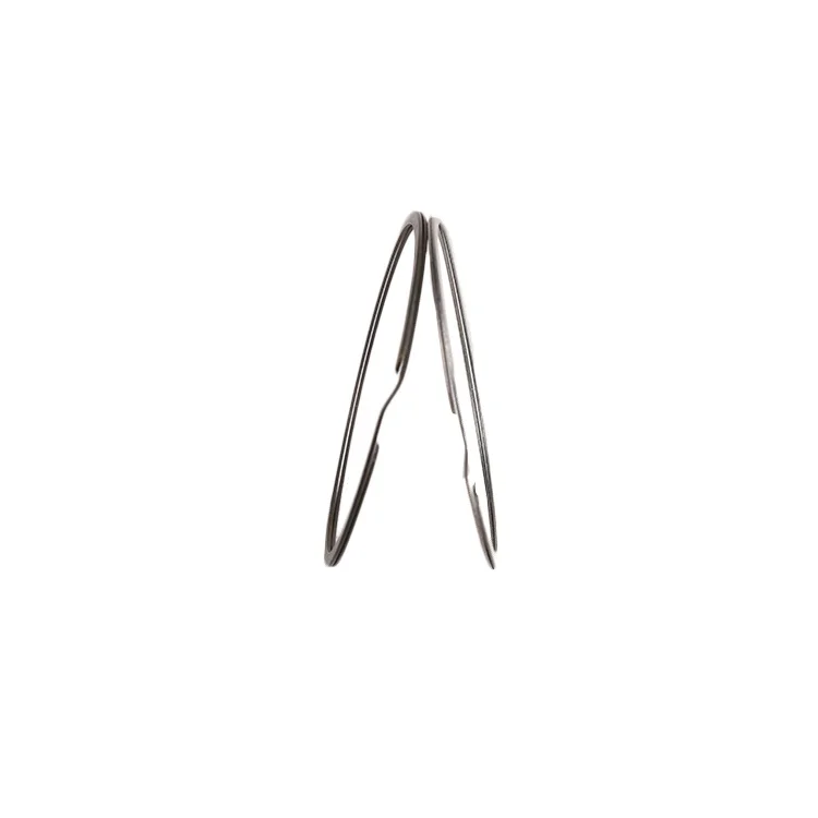 Professional Manufacture Cheap Flat Wire 2 Turns Spiral Retaining Ring