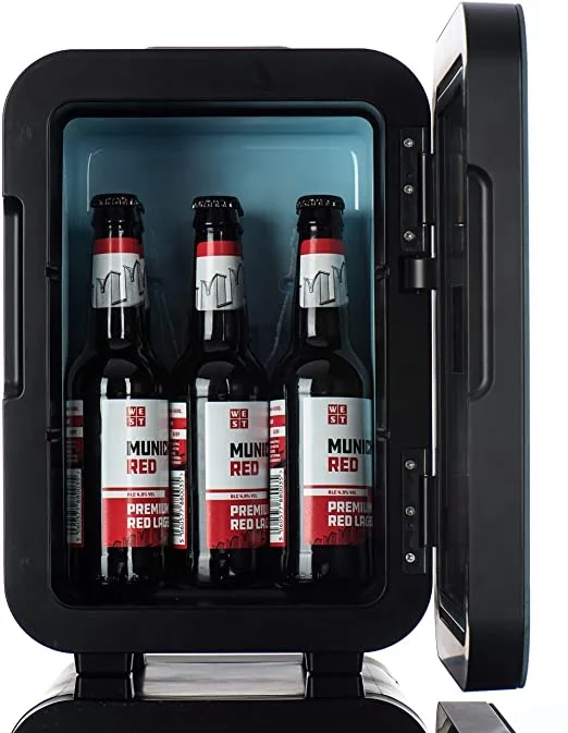 4L Camping Use 220V+12V Cooler Box Mini Car Fridge mini frigo