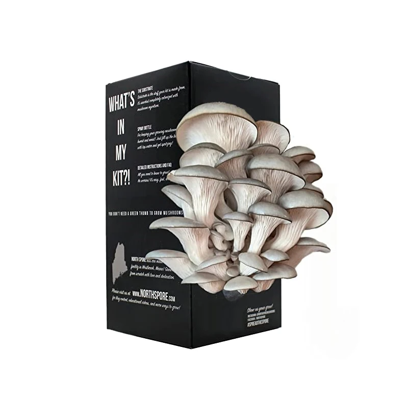 Custom Logo Print Design Mushroom Grow Box Mushroom Corrugated Carton Boxes Cardboard Mushroom Gorw Box