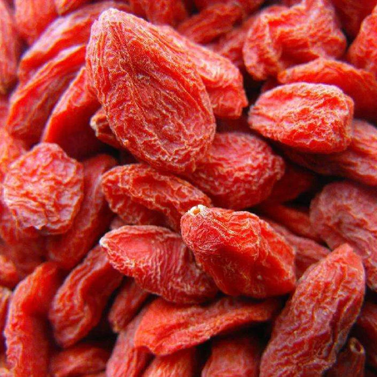 Hot Sale Goji Berry with export dried goji berry