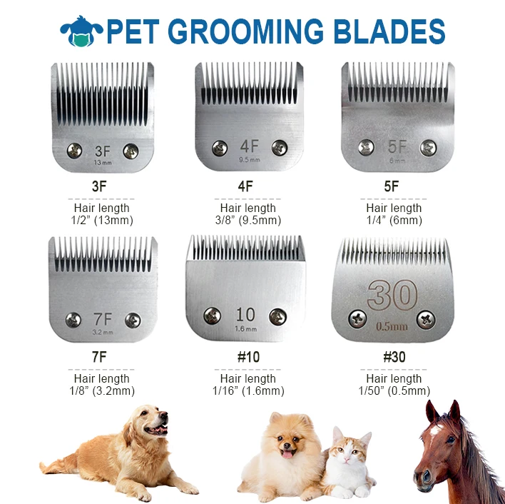 Good Supplier Basic Dog Clipper Kit Are Pet Clippers Different From Human Clippers Animal Trimmer Replacement Blade Set