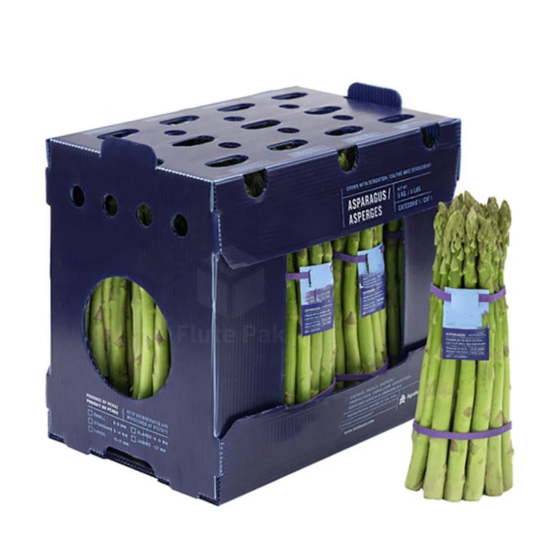 Factory Sale Excellent Custom pp corrugated plastic box for vegetable and fruit