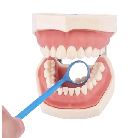Reusable Intra Oral Examination Kit PC Glass Handle Mouth Mirror Dental Mouth Mirror