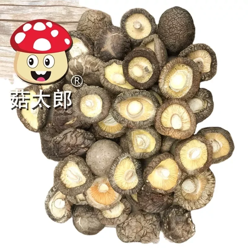 High quality dried shiitake mushroom best seller special for soup dried mini shiitake mushroom