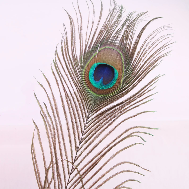 1Bag/50Pcs 25-30cm Length Natural Green Peacock Feather Decoation For