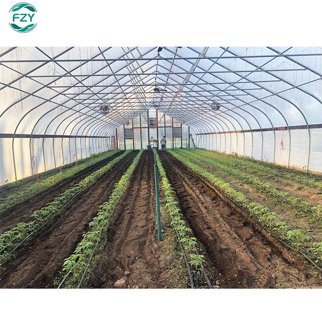 mushroom growing container agricultural thai film single-span turnkey project with quick construction greenhouse for farming