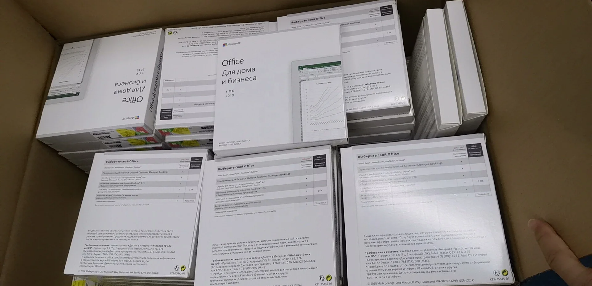 Office Home & Business 2019 Win DVD Retail Box 19hb usb box