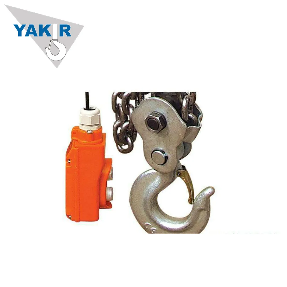 Good Quality Cheap Price 3T 6M DHS Type Electric Chain Hoist