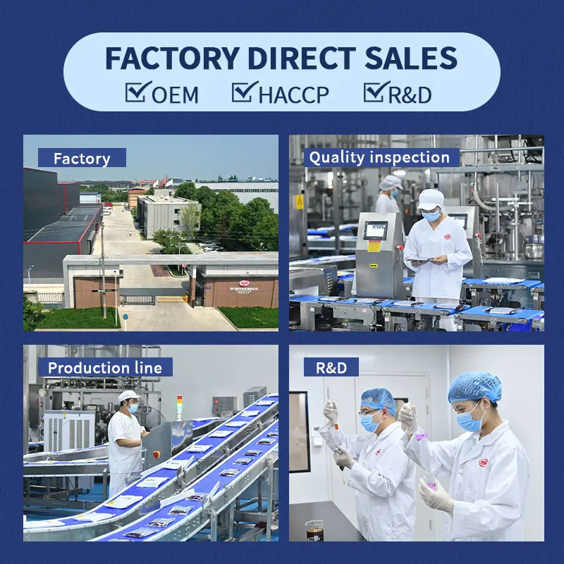 Factory Direct Snack Halal Food China Chinese Snack Export Hot-Pot Sauce