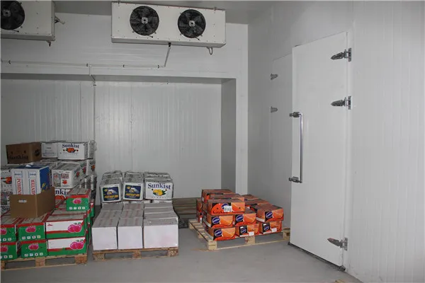 Mini Medical cold storage Reagent panels Refrigerator Freezer Walk in cool room