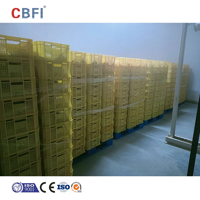 blast freezer refrigerated container cool room freezer container cold storage walk in cold room cold room panels keep fresh