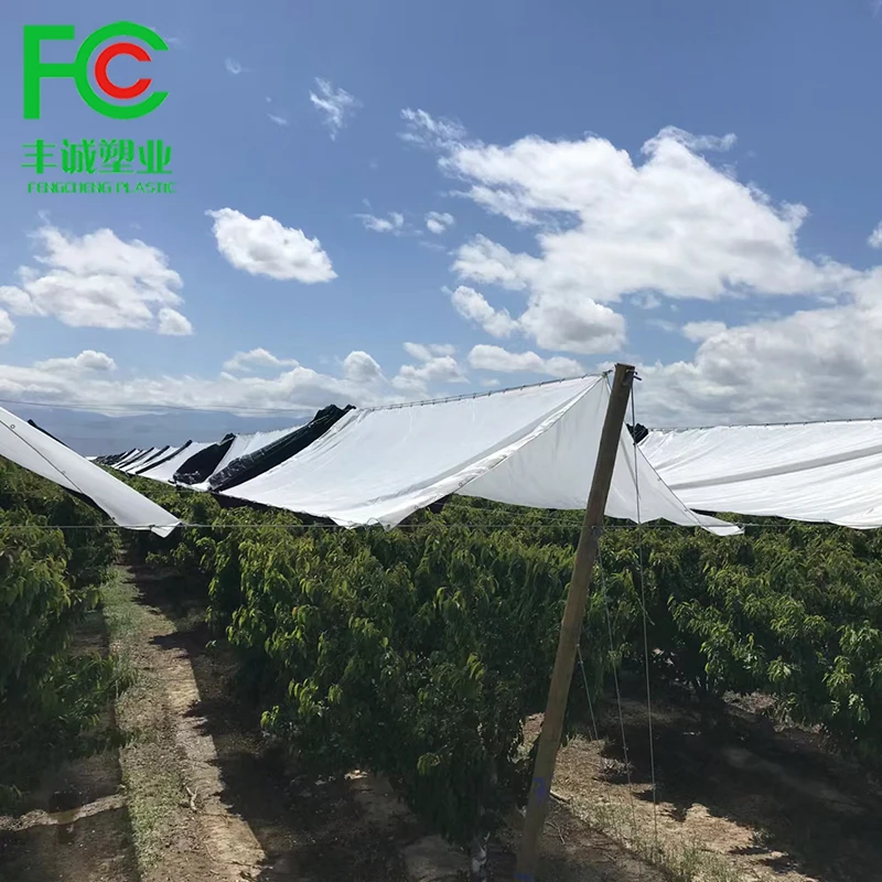 Supply quality plastic covers add UV polyethylene anti big rain/storm vine yard table cover vine grapes/plastic grape cover