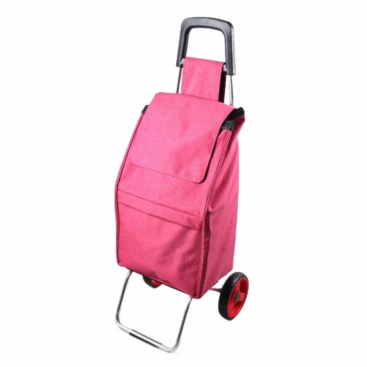 Hand Shopping Trolley 2022 Fashion Foldable Shopping Trolley Bag