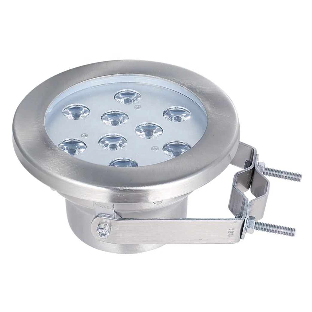 Swimming Pool Accessory DC12V/24V Illumination IP68 Waterproof Swimming Pool Led Underwater Light Luminous White Blue Body