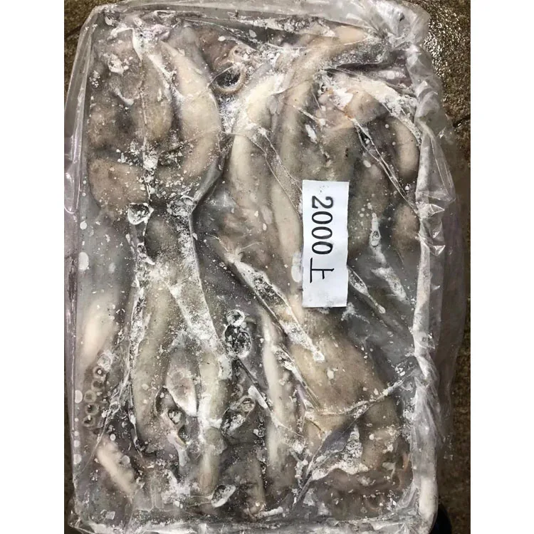 Cheap Big Size Frozen Octopus Hot Sale Delicious