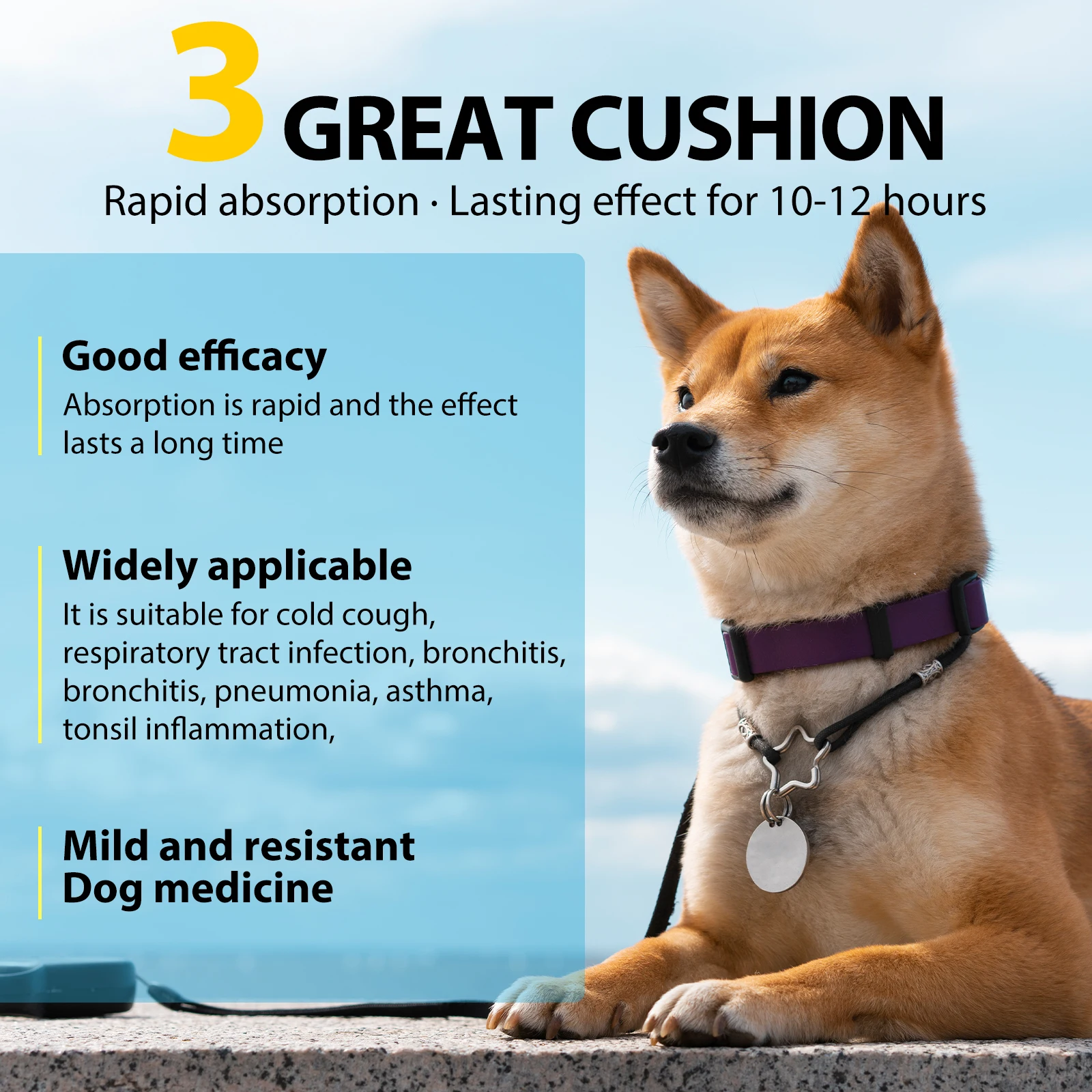 Oimmal Natural Organic Dry and Wet Cough Wheezing Liquid Supplements Kennel Cough Treatment Drops for Dogs