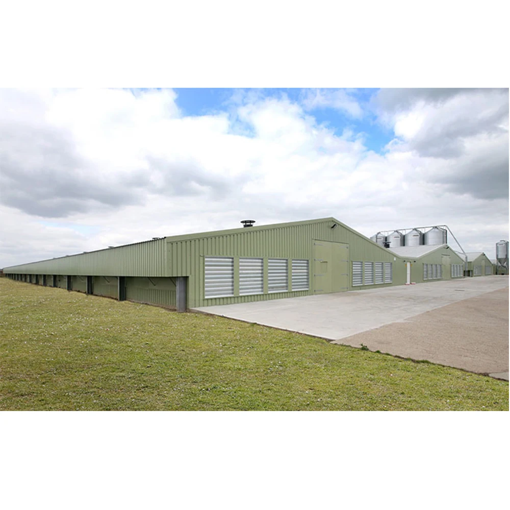 Fast assemble construction hen rooster steel frame house prefab poultry barn modular building