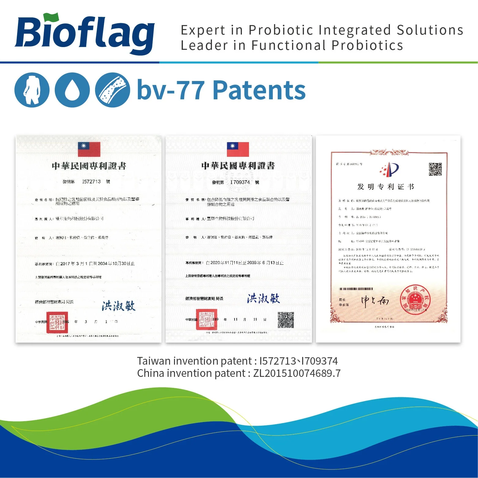 weight loss and fat reduction probiotic Lactobacillus rhamnosus bv-77 cardiovascular disease prevention