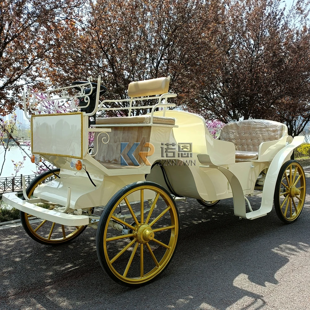 European Style electric touristic horse carriage carts caleches sightseeing Victoria horse drawn carriages wagon